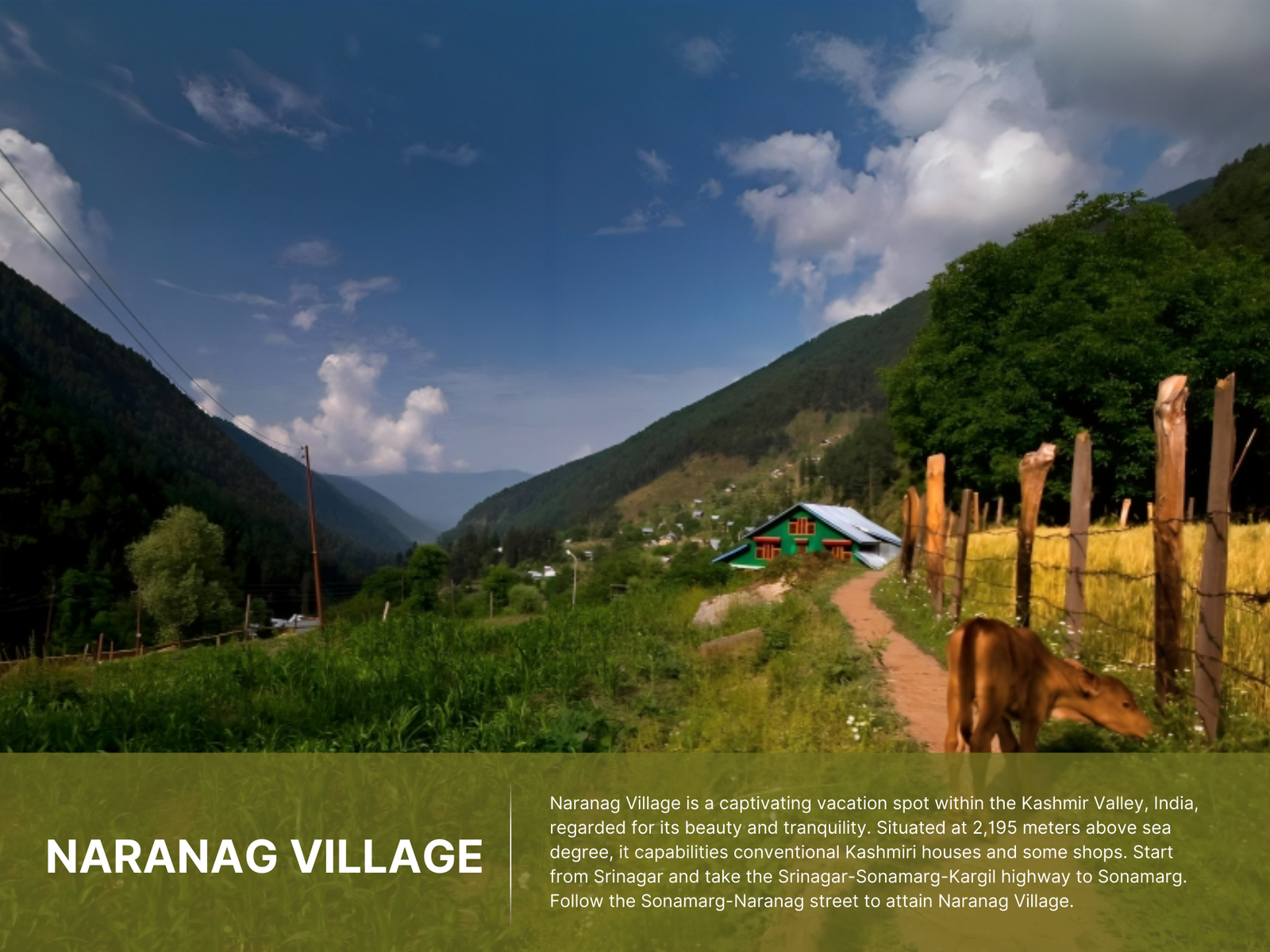 Chattargul Mahlish Gangabal Trek