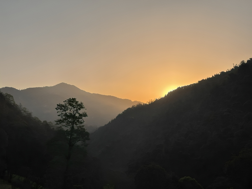 Singalila Ridge Trek