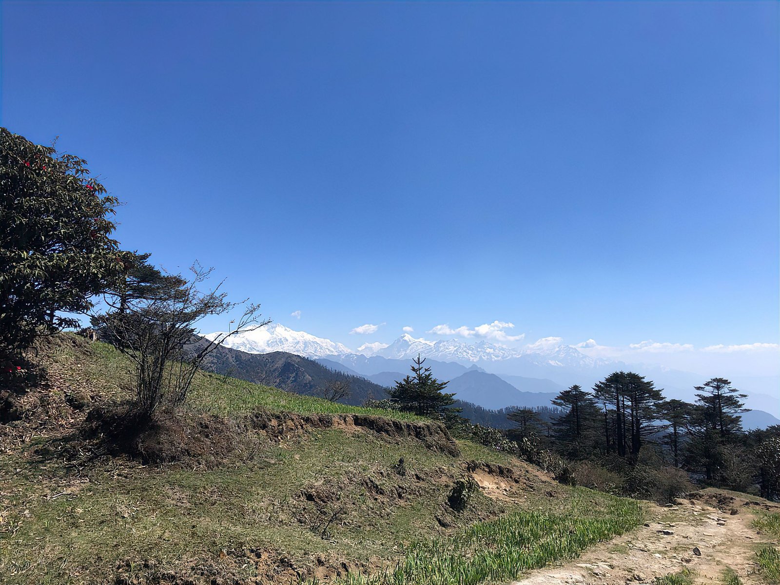 Singalila Ridge Trek