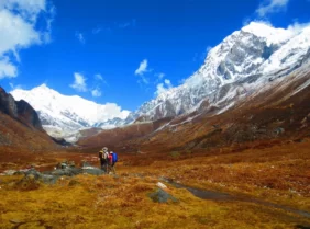 Singalila Ridge Trek