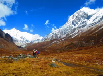 Singalila Ridge Trek