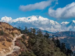 Sandakphu Phalut Trek: Route, Package, Best Trek in India