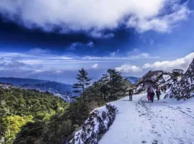 Yuksom Dzongri La Trek: Distance, Package, Trekking in Sikkim